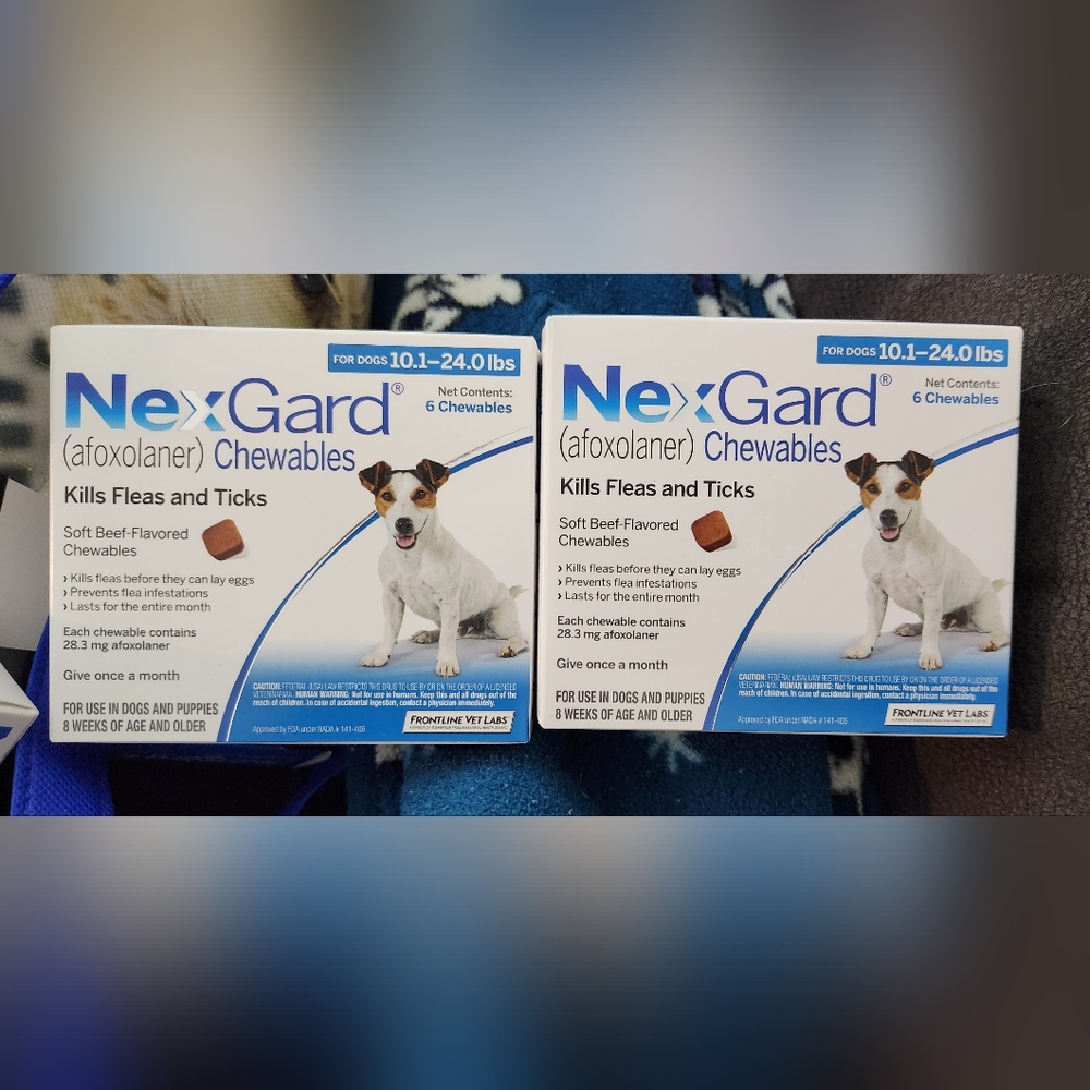 Nexgard for Dogs Flea & Tick 10.1-24lbs Two 6 Packs